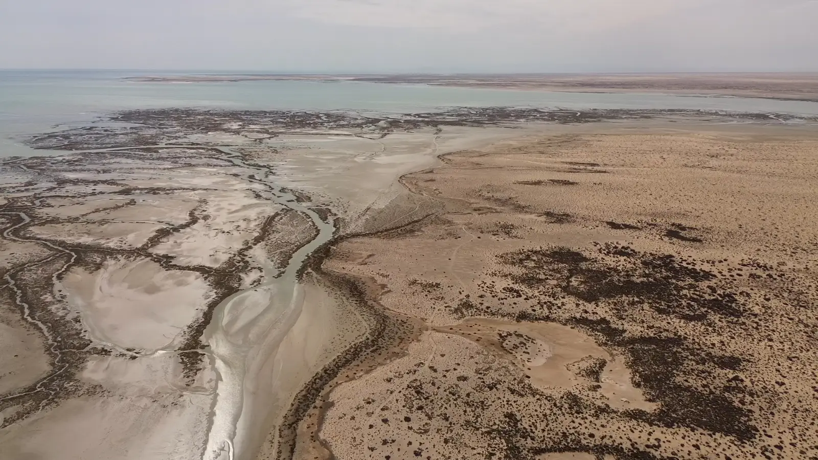 Cuerpos de agua y lagunas del Rancho El Edén