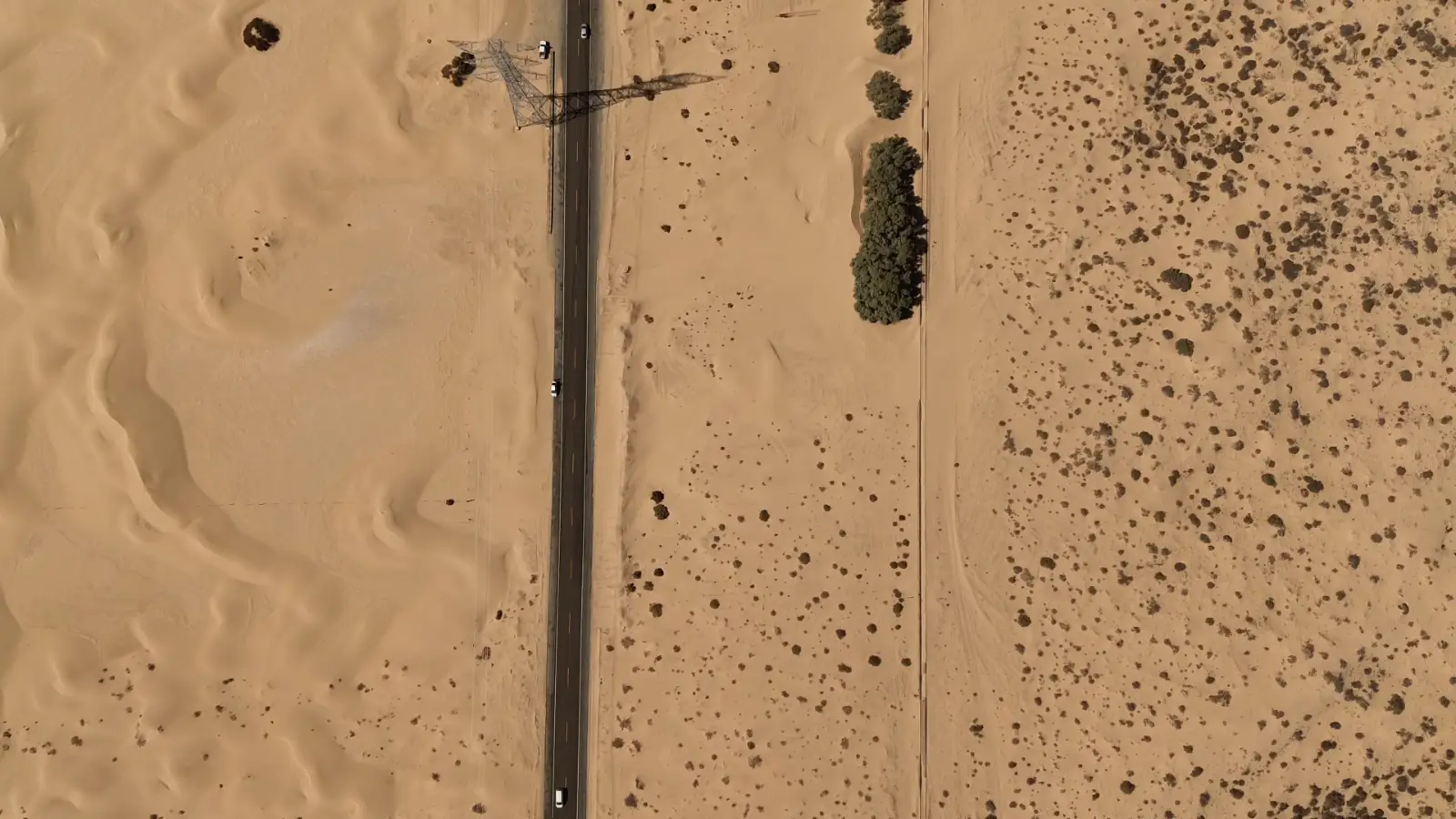 Vías ferroviarias de Rancho El Edén